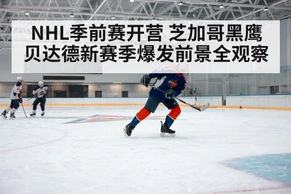 NHL季前赛开营 芝加哥黑鹰贝达德新赛季爆发前景全观察